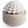 thumbnail image 1 of PORCELAIN AROMA DIFFUSER + 15 mL PEPPERMINT SUCCULENT, 1 of 3