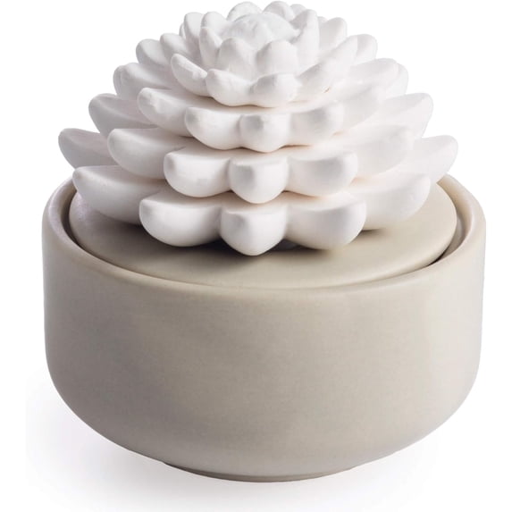 PORCELAIN AROMA DIFFUSER + 15 mL PEPPERMINT SUCCULENT