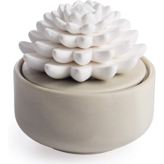 PORCELAIN AROMA DIFFUSER + 15 mL PEPPERMINT SUCCULENT
