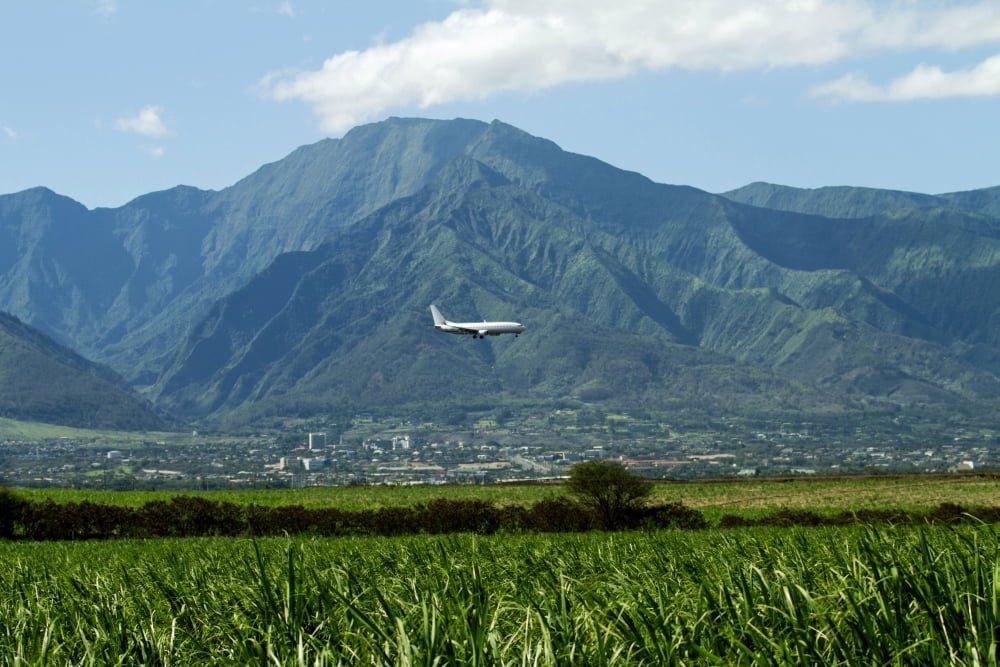 Airplane landing on the airport Kahului Airport Maui Hawaii USA Canvas Art - Panoramic Images (36 x 12)