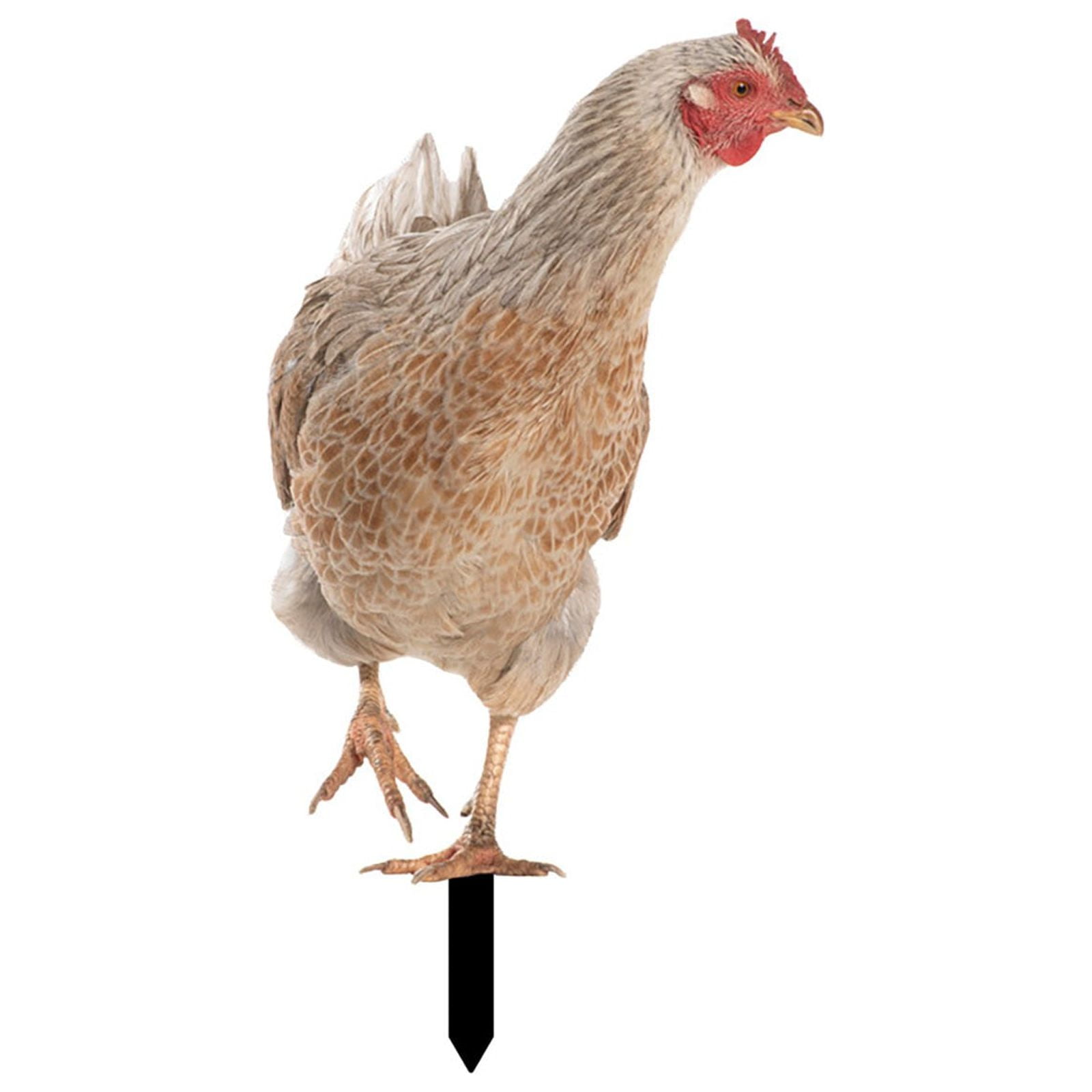 Airport Wind Socks Outdoor Heavy Duty Garden Feeder Pole Solar Powe