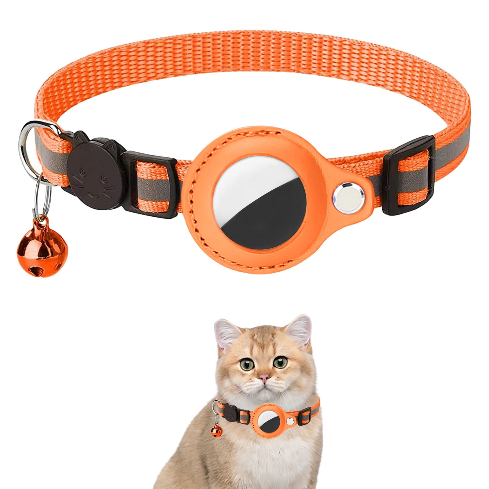 Kitten tags and collars hot sale