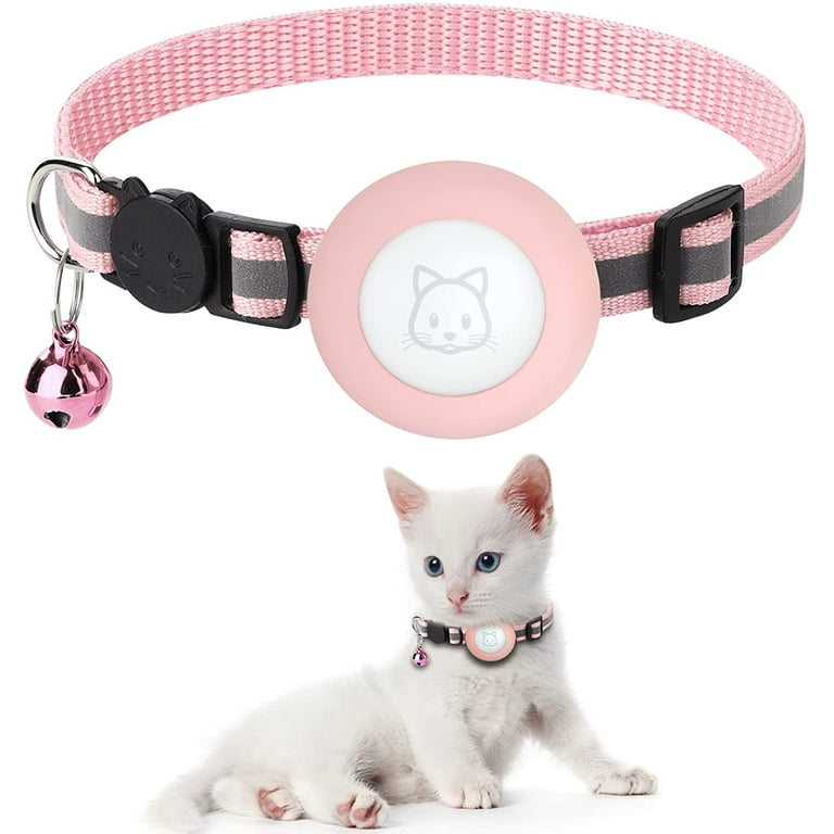 Kitten tags and collars hotsell
