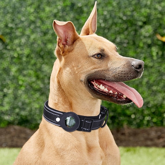 Airtag Dog Collar Cover with Nylon Tracking for Pet Positioning and Training