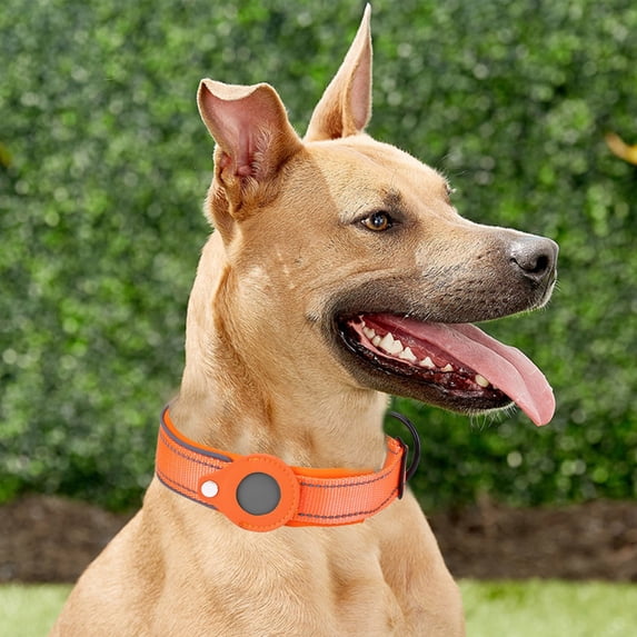 Airtag Dog Collar Cover with Nylon Tracking and Positioning Training Pet Accessory