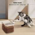 thumbnail image 1 of Airtight Pet Food Storage Container Up To 30 Lbs For Dog Cat And Other Pet Food Storage B In With Measuring Cup Storage Bucket For Dog Food Storage Containers Clear, 1 of 5