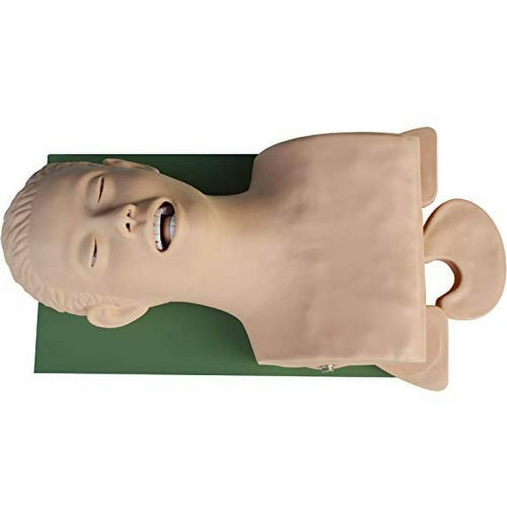 Airway Management Trainer Oral Nasal Intubation Training Manikin Training Simulator Model 110V-220V