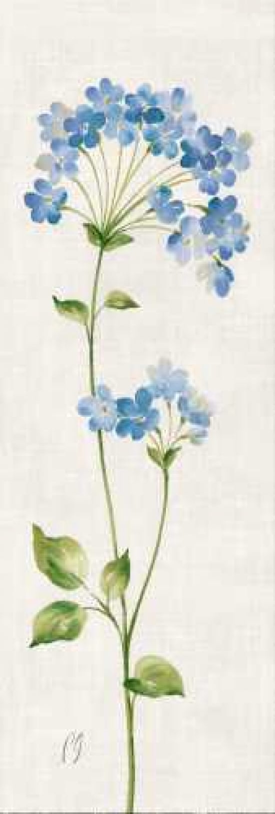 Airy Blues I Canvas Art - Pamela Gladding (12 x 36)