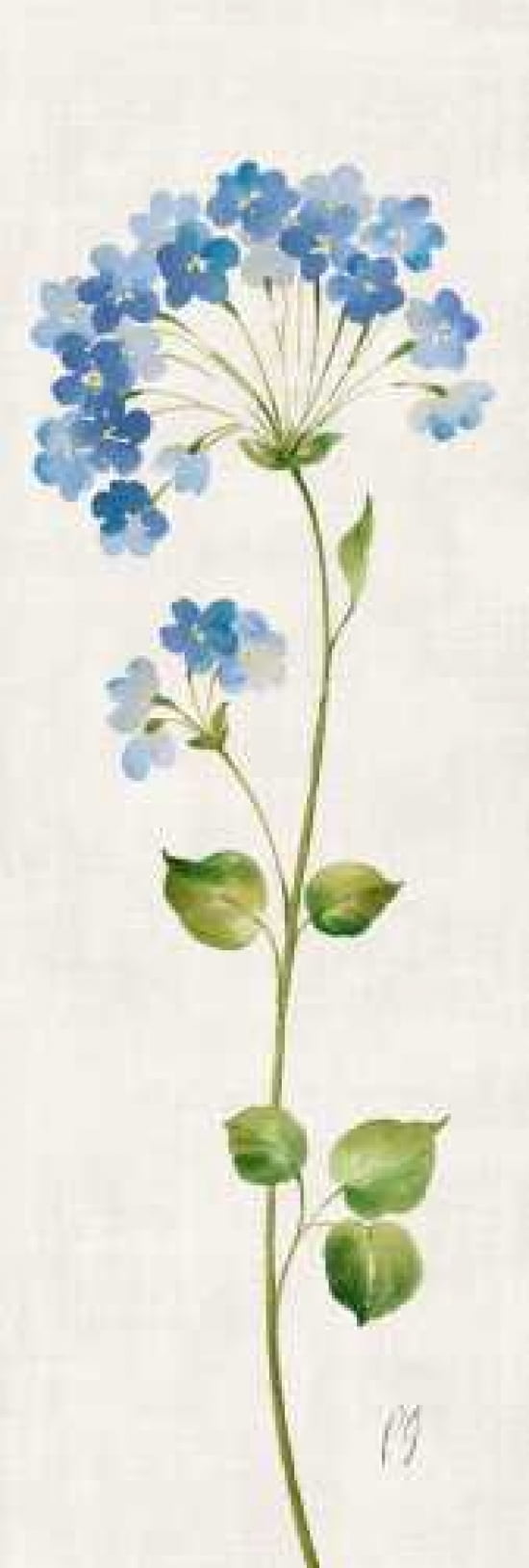 Airy Blues II Canvas Art - Pamela Gladding (8 x 24)