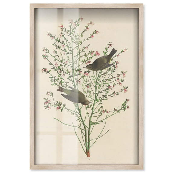 Airy Thicket Shadowbox Print Botanical Art by Art Remedy, Blonde Frame, 24 x 36