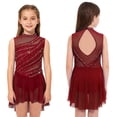 thumbnail image 1 of Aislor Girls Lyrical Dance Mock Neck Ruched Ballet Skirted Leotard Ballerina Ice Skating Dress Burgundy 10, 1 of 7