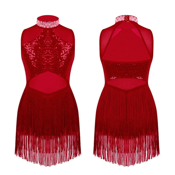 Aislor Kids Girls Mesh Splice Rhinestone Sleeveless Tassel Dress Samba Jazz Tap Modern Latin Salsa Dancewear