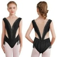 thumbnail image 1 of Aislor Kids Girls Shiny Ballet Latin Dance Leotards Bodysuit Tassel Sheer Mesh Skating Dress Performance Costume Black 12, 1 of 7