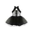 thumbnail image 1 of Aislor Kids Girls Sleeveless Shiny Ballet Dance Leotard Tutu Mesh Dress Ballroom Costumes 4-14, 1 of 7