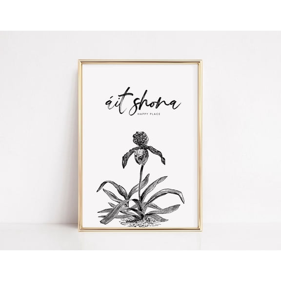 Ait Shona Irish Poster, Happy Place Gaeilge Wall Art, Irish Souvenir, New Home Decor, Ireland Housewarming Gifts, Home Decor, 8x12 UNFRAMED