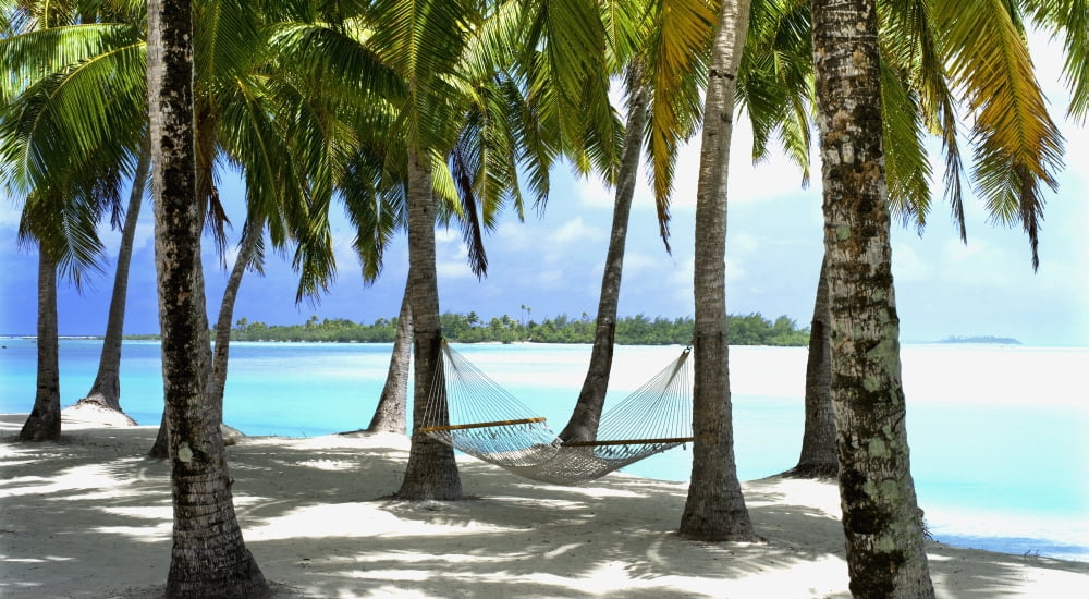 Aitutaki Lagoon Resort Aitutaki Cook Islands Canvas Art - David Kirkland Design Pics (40 x 22)