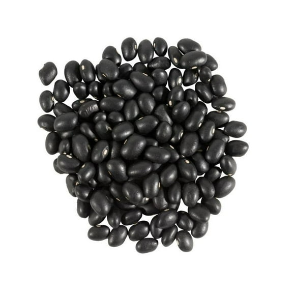Aiva Black Bean 40 LB BULK