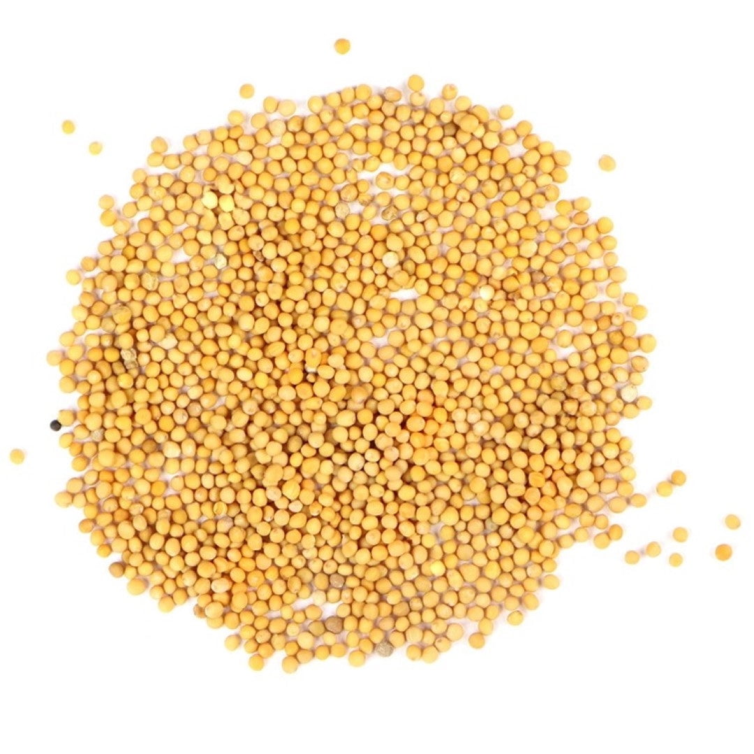 Yellow Mustard Seeds Whole - White Mustard Seed Spicy