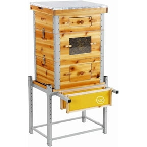 Aivituvin Bee Hive Bee Box 10 Frame Upgrade with All -Around Metal Frame Bee Castle Coated with 100% Beeswax Includes Waxed Foundations,2 Deep Boxes & 1 Medium Box