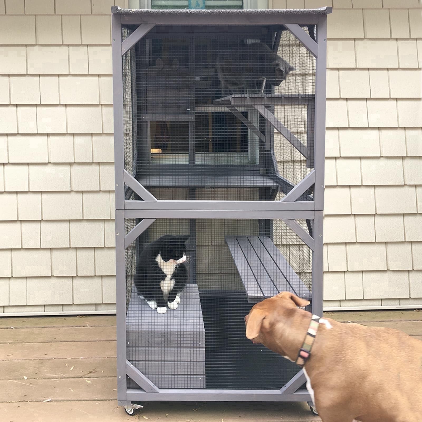 Aivituvin Catio Outdoor Cat Enclosure with Wheels, Scratching Post, Resting Box and Waterproof Roof for Patio or Garden, 31.5"L x 31.5"W x 70.9"H