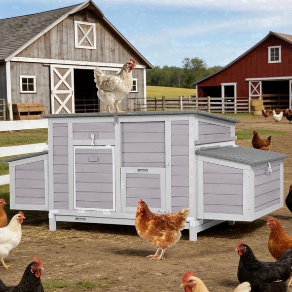 Aivituvin Large Chicken Coop for 4-6 Chickens, Reinforced Outdoor Wooden Hen House with 4 Sectionable Nesting Box, Easy Clean Pull-Out Tray, Waterproof Asphalt Roof - Grey, 67.3"L x 25.4"W x 28.1"H