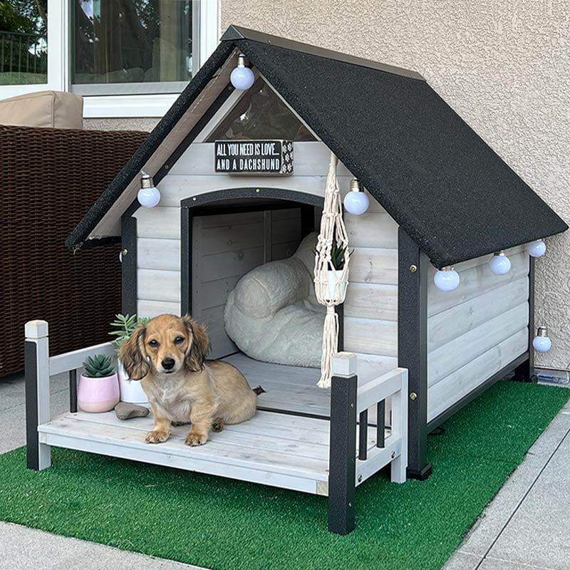 Modern Dog A House Built For Dogs Morgete Waterproof Outdoor Dog