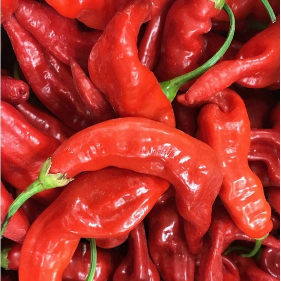 Sherwood's Seeds Aji Strawberry Drop Limon Kellu Uchu Chile Heirloom Pepper Seeds