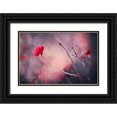 thumbnail image 1 of Ajkabajka 32x23 Black Ornate Wood Framed with Double Matting Museum Art Print Titled - Rose, 1 of 4