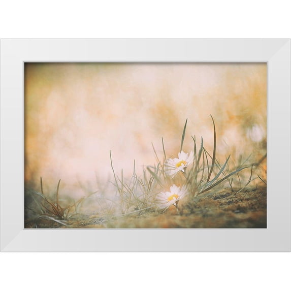 Ajlec, Jana 14x11 White Modern Wood Framed Museum Art Print Titled - Untitled