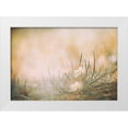 thumbnail image 1 of Ajlec, Jana 18x14 White Modern Wood Framed Museum Art Print Titled - Untitled, 1 of 4