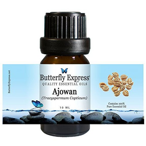 Ajowan Essential Oil 10ml - 100% Pure by Butterfly Express