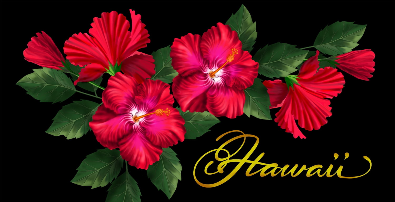 30" x 60" 100% Cotton Hibiscus Beach Towel