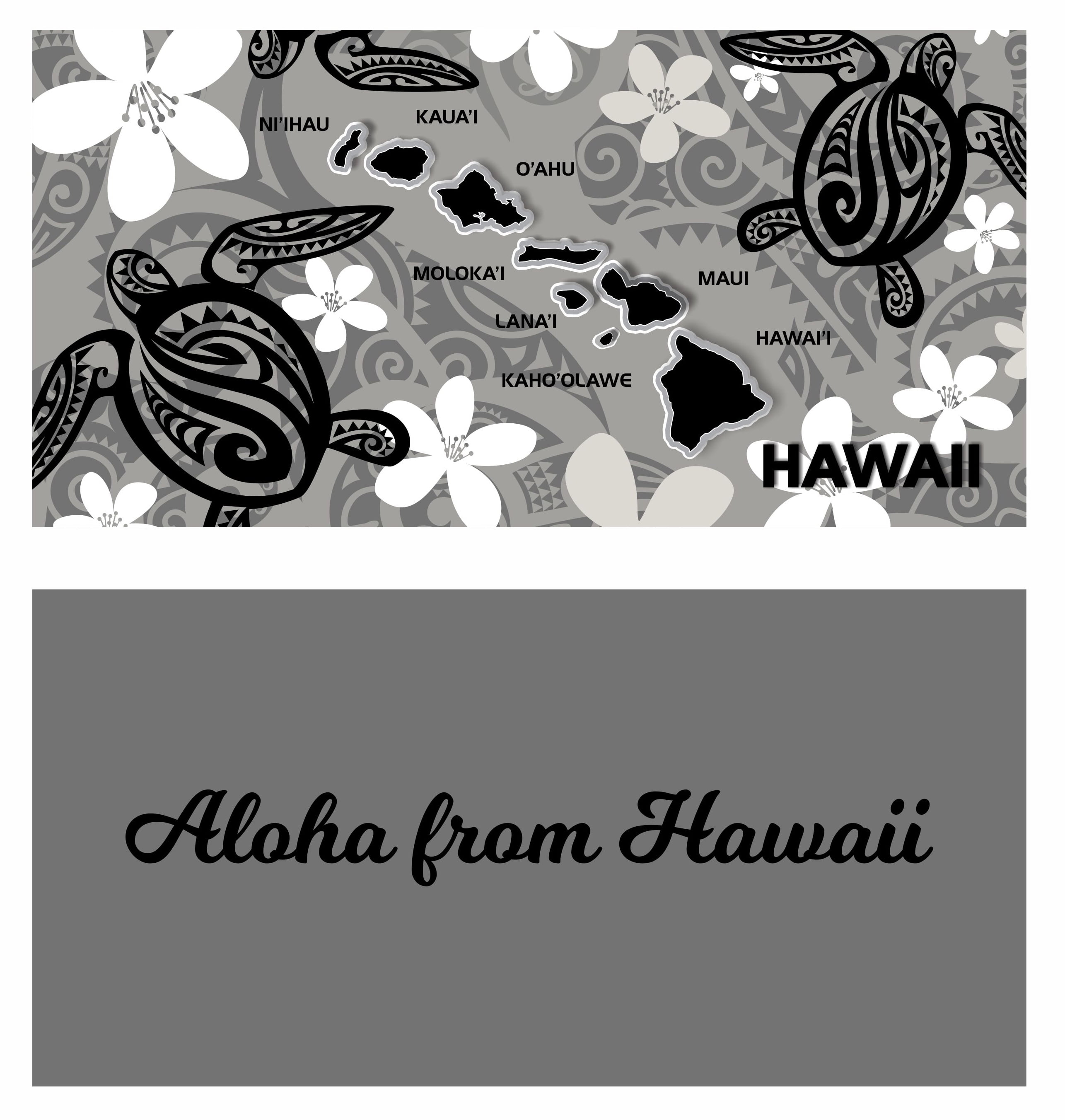 Ajw, Inc Premium Hi Mfiber Map Towel