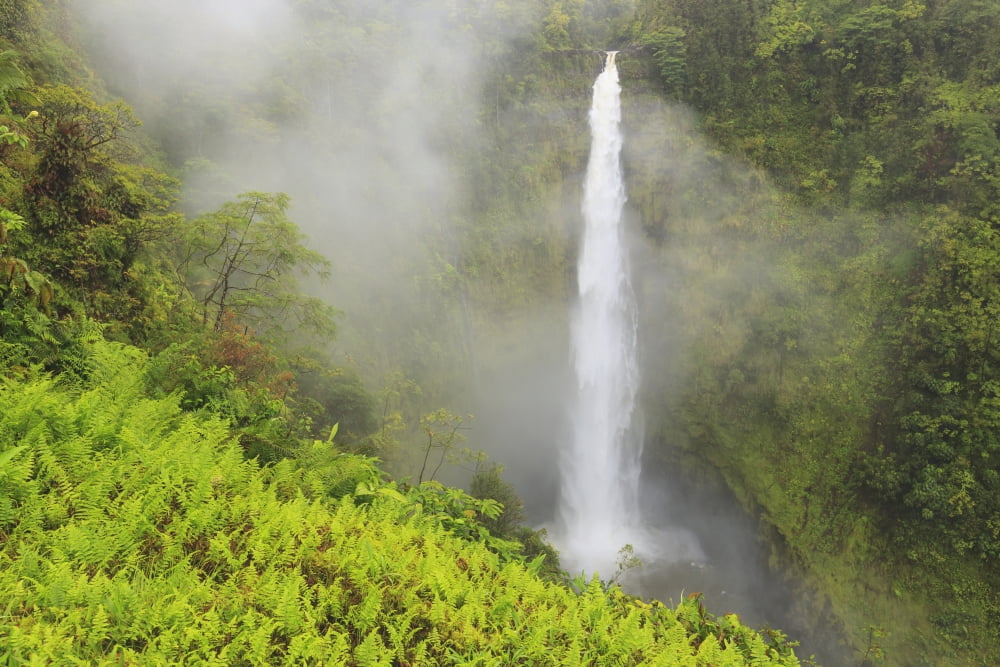 Akaka falls akaka falls state park hamakua coastBig island hawaii united states of america Canvas Art - Stuart Westmorland Design Pics (38 x 24)