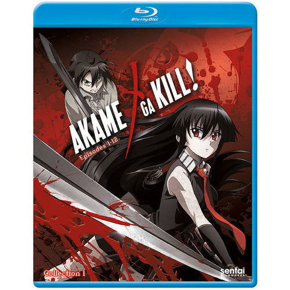 Akame ga KILL Brasil