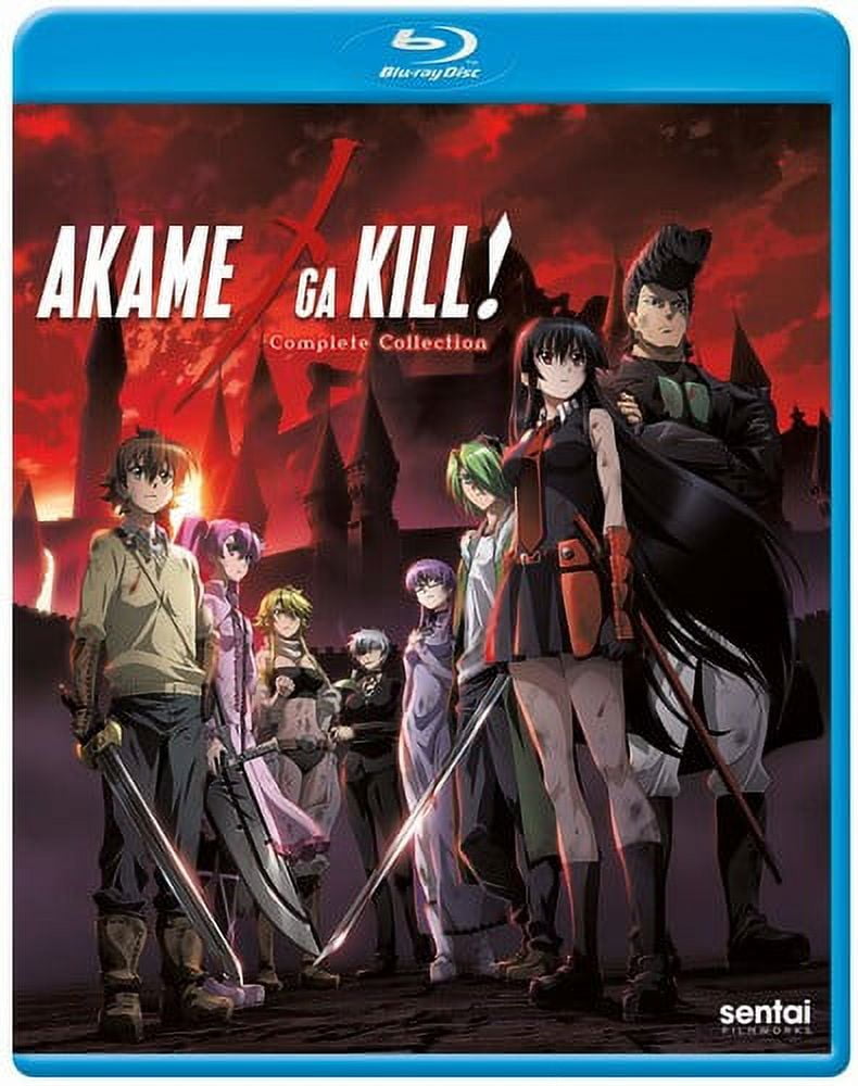 Pin on Akame Ga Kill