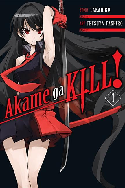 Akame Ga Kill Volume 11 em Promoção na Americanas