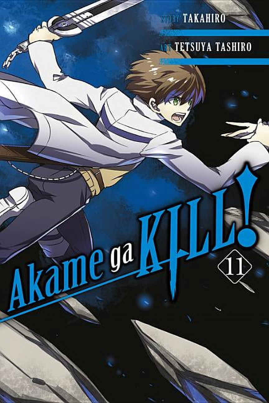 Akame ga KILL!, Vol. 11 (Paperback)