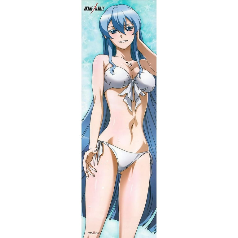 Akame ga Kill Esdeath Body Pillow Dakimakura Officially Licensed