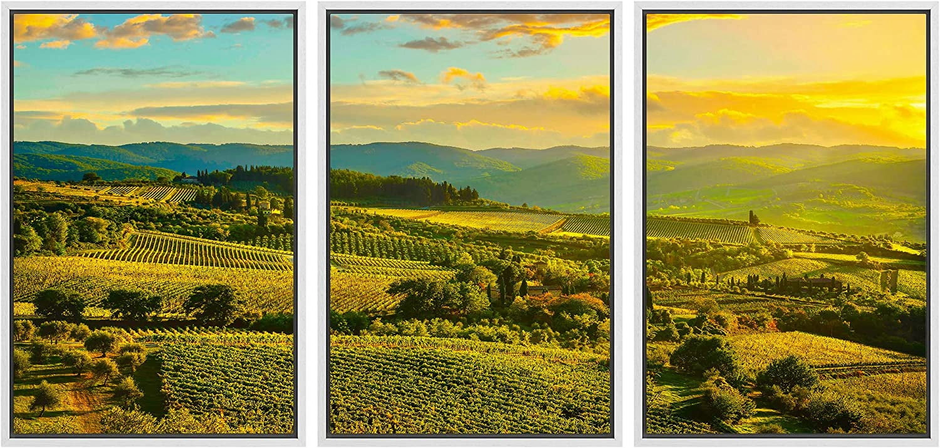 Akania Framed Canvas Print Wall Art Set Italian Wine Vineyard akania-framed-canvas-print-wall-art-set-italian-wine-vineyard