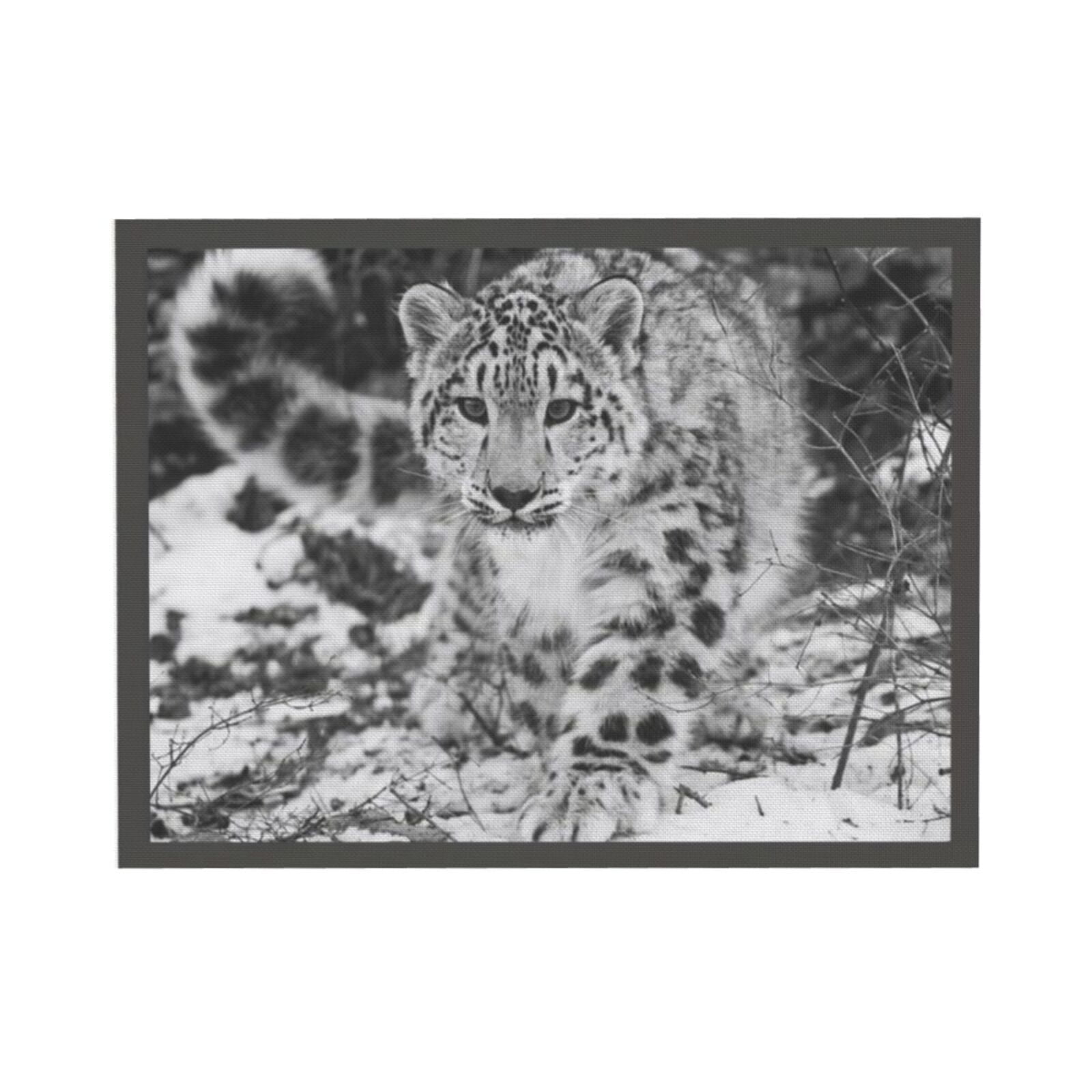 Akania Snow Leopard Animal Poster Canvas Poster Bedroom Decor Sports ...