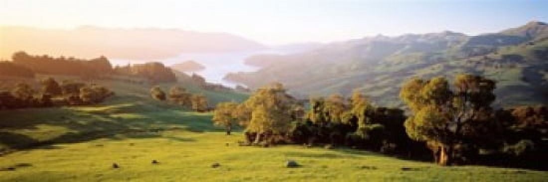 Akaroa Harbor Canterbury New Zealand Canvas Art - Panoramic Images (18 x 6)