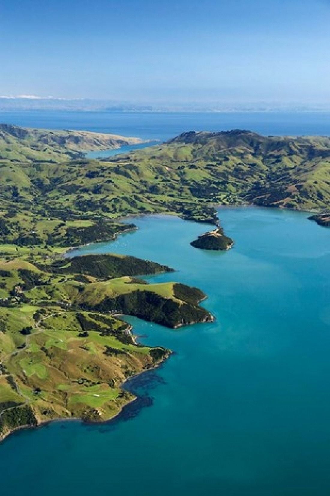 Akaroa Harbor Canterbury South Island New Zealand Canvas Art - David Wall DanitaDelimont (11 x 17)