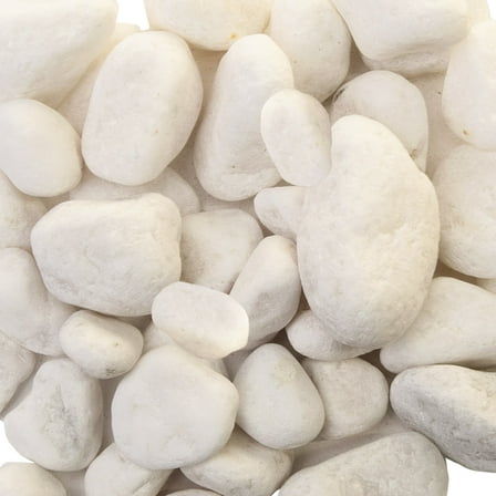 Akasha Decorative White Natural Rocks, 16 oz. Bag