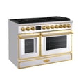 thumbnail image 1 of Akicon 48 Inch Freestanding Gas Range with 8 Sealed Burners Cooktop, 6.7 Cu.Ft. Dual Zone Capacity, Natural Gas/LP Convertible-BSGBGGA1, 1 of 3