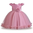 thumbnail image 1 of Akiihool Baby Girl Dresses Girl Dresses for Wedding Lace Dress Layered Pageant Party Dresses(Hot Pink,3-4 Years), 1 of 9