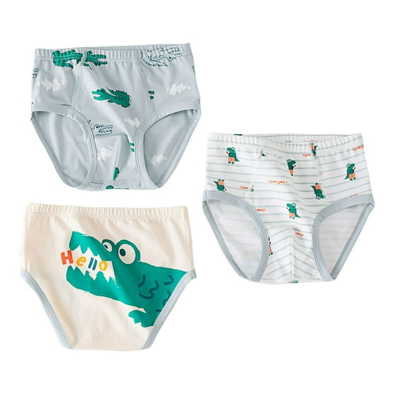 Akiihool Boys Boxers 100% Cotton Little Boys Briefs Soft Dinosaur Toddler Underwear 3 Pack(Grey,2-3 Years)