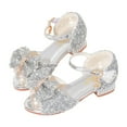 thumbnail image 1 of Akiihool Toddler Princess Heeled Shoes Girls Mary Jane Kids Princess Dress up Flower School Party Slip on Toddler/Little Kid (Silver,12), 1 of 9