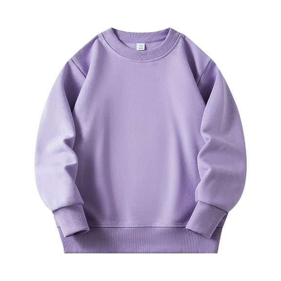 Akiihool Toddler Sweatshirt Boy Sweatshirt Tops Toddler Boy Fall Outfit Long Sleeve Crewneck Shirt Kids Fall Clothing (Light Purple,2-3 Years)