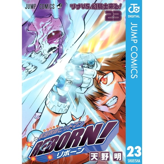 Akira Amano Katekyo Hitman Reborn! 23 (Paperback)